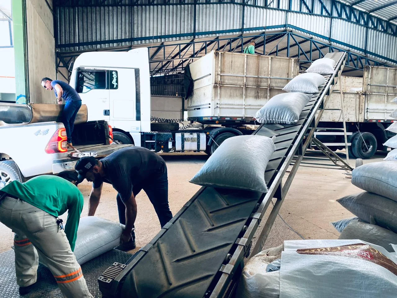 Sacas de cacau sendo carregadas para exportação em galpão logístico.
